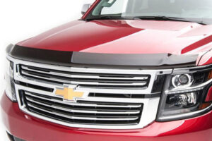 Bugshield Aeroskin Tinted