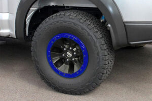 Blue Bedlock kit